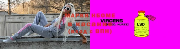 шишки Арсеньев