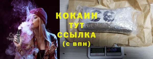 шишки Арсеньев