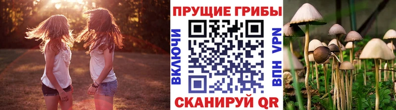 Псилоцибиновые грибы Magic Shrooms  купить наркотик  ОМГ ОМГ tor  Михайловск 